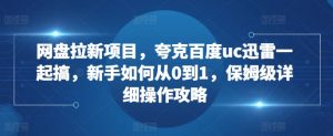 网盘拉新项目,夸克百度uc迅雷一起搞,新手如何从0到1,保姆级详细操作攻略-阳知网创资源库