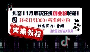 抖音11月最新狂揽创业粉秘籍,轻松日引300+精准创业粉,仅需图片+音频,轻松搞定创业类视频-阳知网创资源库