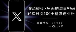 独家解密 X 里面的流量密码,复制粘贴轻松日引100+-阳知网创资源库