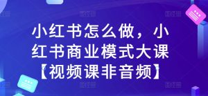 小红书怎么做，小红书商业模式大课【视频课非音频】-阳知网创资源库