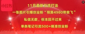 小红书11月最新图片打粉,一张图片引爆创业粉,“预算4980带我飞”,单条引流500+精准创业粉-阳知网创资源库