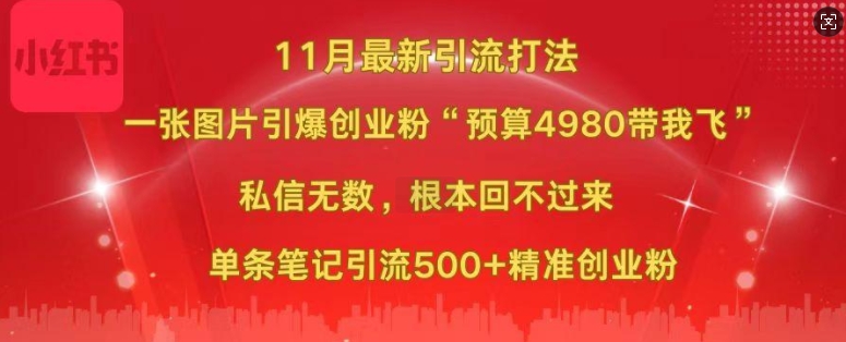 小红书11月最新图片打粉,一张图片引爆创业粉,“预算4980带我飞”,单条引流500+精准创业粉-阳知网创资源库