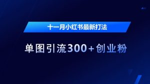 十一月小红书最新打法,单图引流300+创业粉【揭秘】-阳知网创资源库