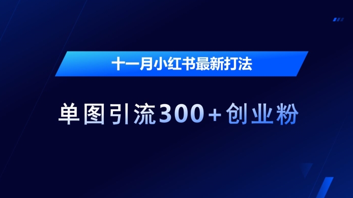 十一月小红书最新打法,单图引流300+创业粉【揭秘】-阳知网创资源库