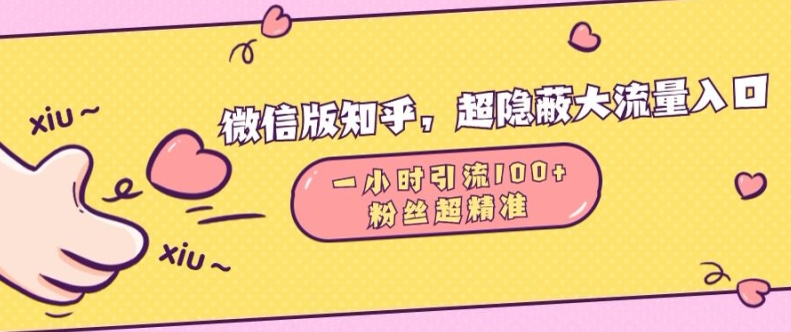 微信版知乎,超隐蔽流量入口1小时引流100人,粉丝质量超高【揭秘】-阳知网创资源库