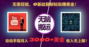 无需经验，0基础复制粘贴赚美刀，动动手指，月入3000+刀，无上限【揭秘】-阳知网创资源库