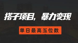 2024搭子玩法,0门槛,暴力变现,单日最高破四位数【揭秘】-阳知网创资源库