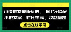 小说推文最新玩法， 图片+搭配小说文案，转化率高，收益稳定-阳知网创资源库