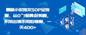 最新小说推文SOP全流程,从0~1保姆级教程,不用出镜不用拍视频,一天400+-阳知网创资源库