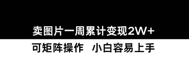 小红书【卖图片】一周累计变现2W+小白易上手-阳知网创资源库