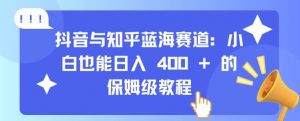 抖音与知乎蓝海赛道:小白也能日入 4张 的保姆级教程-阳知网创资源库