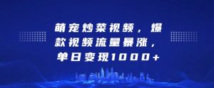 萌宠炒菜视频,爆款视频流量暴涨,单日变现1k-阳知网创资源库