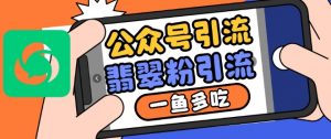 公众号利用推荐流量和搜一搜流量引流翡翠粉，一鱼多吃-阳知网创资源库