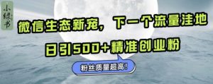 微信生态新宠小绿书:下一个流量洼地,日引500+精准创业粉,粉丝质量超高-阳知网创资源库