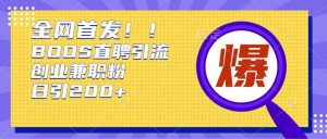 通过Boss直聘,每天轻松钓到200+多条创业大鱼的秘籍【揭秘】-阳知网创资源库