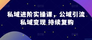 私域进阶实操课,公域引流 私域变现 持续复购-阳知网创资源库