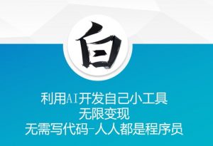 利用AI开发自己小工具 无限变现 无需写代码 人人都是程序员-阳知网创资源库
