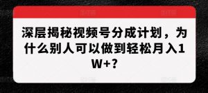 深层揭秘视频号分成计划,为什么别人可以做到轻松月入1W+?-阳知网创资源库