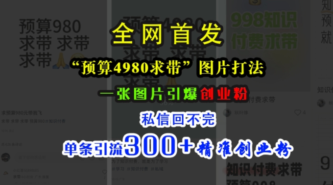 小红书“预算4980带我飞”图片打法,一张图片引爆创业粉,私信回不完,单条引流300+精准创业粉-阳知网创资源库