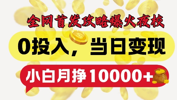 全网首发爆火夜校，0投入，当日变现，小白轻松月入1w+【揭秘】-阳知网创资源库