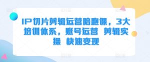 IP切片剪辑运营陪跑课,3大培训体系,账号运营 剪辑实操 快速变现-阳知网创资源库