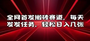 全网首发搬砖赛道，每天发发任务，轻松日入几张【揭秘】-阳知网创资源库