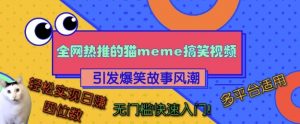 全网热推的猫咪搞笑视频,引发爆笑故事风潮,多平台适用,轻松实现日入四位数,无门槛快速入门!-阳知网创资源库