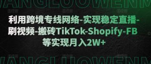 利用跨境专线网络-实现稳定直播-刷视频-搬砖TikTok-Shopify-FB等实现月入2W+【揭秘】-阳知网创资源库