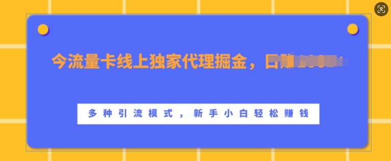 流量卡线上独家代理掘金,日入1k+ ,多种引流模式,新手小白轻松上手【揭秘】-阳知网创资源库