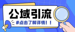 全公域平台,引流创业粉自热模版玩法,号称日引500+创业粉可矩阵操作-阳知网创资源库