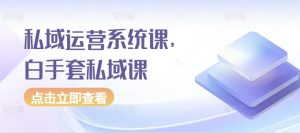 私域运营系统课,白手套私域课-阳知网创资源库
