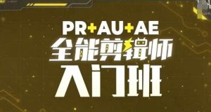 PR+AU+AE全能剪辑师入门班,剪辑入门必学课程-阳知网创资源库