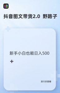 抖音图文带货野路子2.0玩法,暴力起号,单日收益多张,小白也可轻松上手【揭秘】-阳知网创资源库