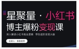 小红书博主爆粉变现课,深入解读小红书商业逻辑,带你进阶变现大咖-阳知网创资源库