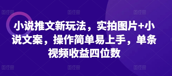 小说推文新玩法,实拍图片+小说文案,操作简单易上手,单条视频收益四位数-阳知网创资源库