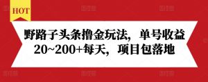 野路子头条撸金玩法,单号收益20~200+每天,项目包落地-阳知网创资源库