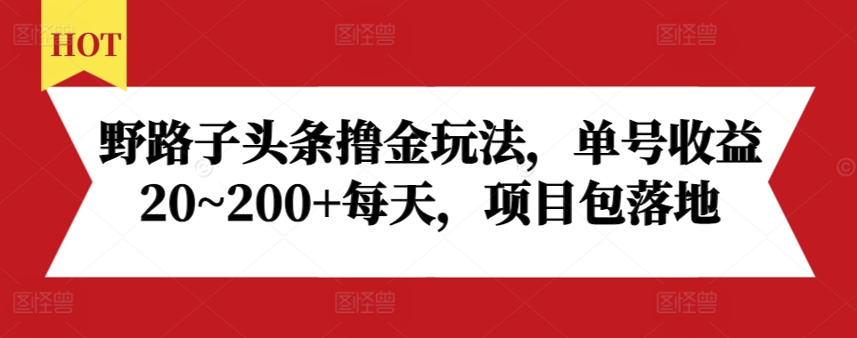 野路子头条撸金玩法,单号收益20~200+每天,项目包落地-阳知网创资源库