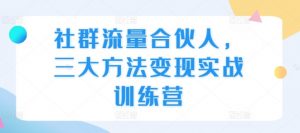 社群流量合伙人,三大方法变现实战训练营-阳知网创资源库