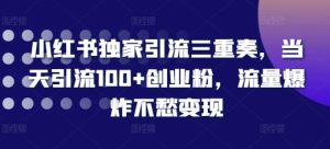 小红书独家引流三重奏，当天引流100+创业粉，流量爆炸不愁变现【揭秘】-阳知网创资源库