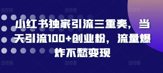 小红书独家引流三重奏,当天引流100+创业粉,流量爆炸不愁变现【揭秘】-阳知网创资源库