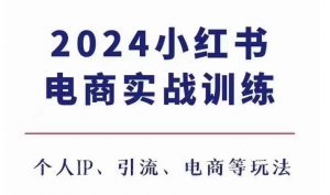 2024小红书电商3.0实战训练,包含个人IP、引流、电商等玩法-阳知网创资源库