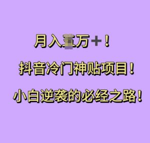 抖音冷门神贴项目,小白逆袭的必经之路,月入过W【揭秘】-阳知网创资源库