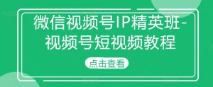 微信视频号IP精英班-视频号短视频教程-阳知网创资源库
