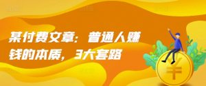 某付费文章：普通人赚钱的本质，3大套路-阳知网创资源库