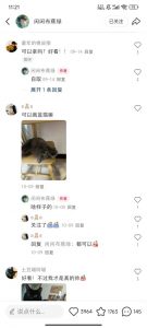 小红书私人定制图项目,附赠一单4W渠道【揭秘】-阳知网创资源库