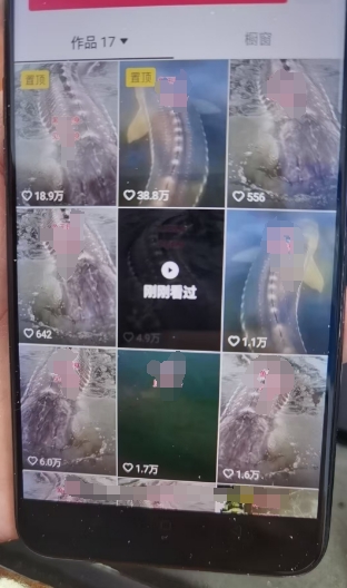 外面卖399的国学佛像原创暴力起号技术,快速起号,7天可达到一个万粉号-阳知网创资源库