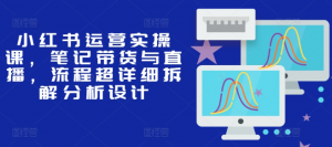 小红书运营实操课,笔记带货与直播,流程超详细拆解分析设计-阳知网创资源库