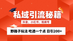 私域流量的精准化获客方法 野路子玩法 吃透一个点 日引200+ 【揭秘】-阳知网创资源库
