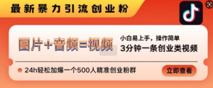 抖音最新暴力引流创业粉,3分钟一条创业类视频,24h轻松加爆一个500人精准创业粉群【揭秘】-阳知网创资源库