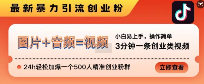 抖音最新暴力引流创业粉,3分钟一条创业类视频,24h轻松加爆一个500人精准创业粉群【揭秘】-阳知网创资源库